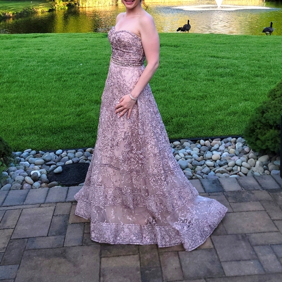 Mac Duggal Dusty Rose Embroidered and Sequin Accented Evening Gown - Size 6 - Picture 9 of 10